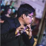 Lecciones virtuales de Violín y viola